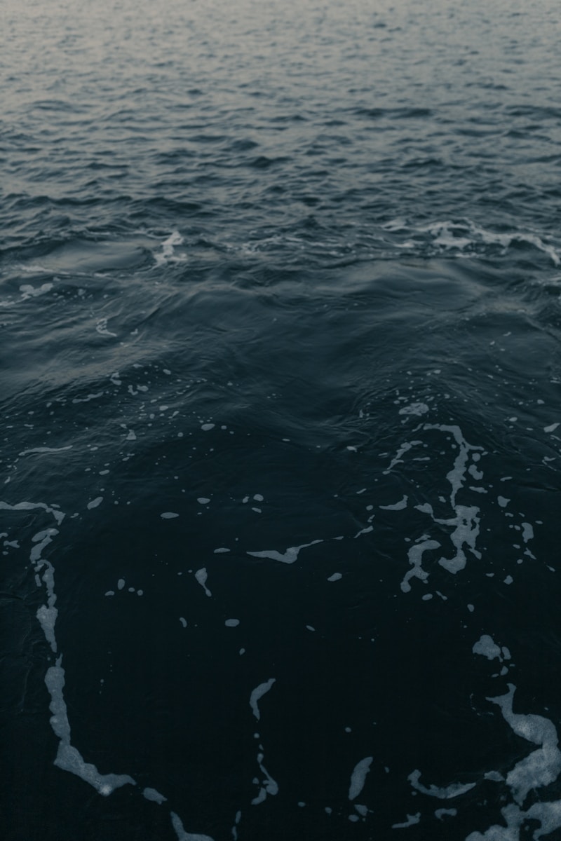 Calm ocean water displays a subtle texture.